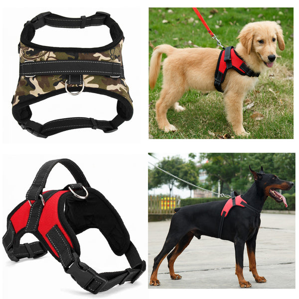 Pet Harness Collar