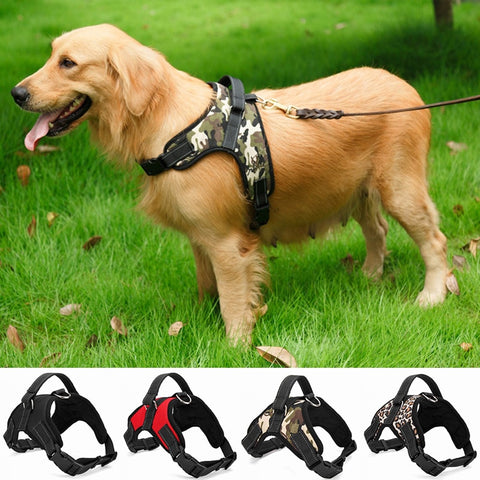 Pet Harness Collar